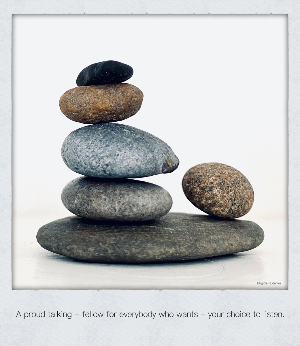 © Birgitta Rudenius