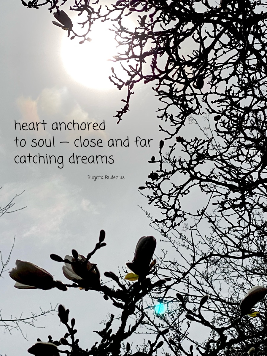 © Birgitta Rudenius