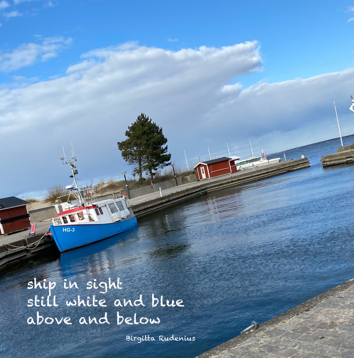 © Birgitta Rudenius