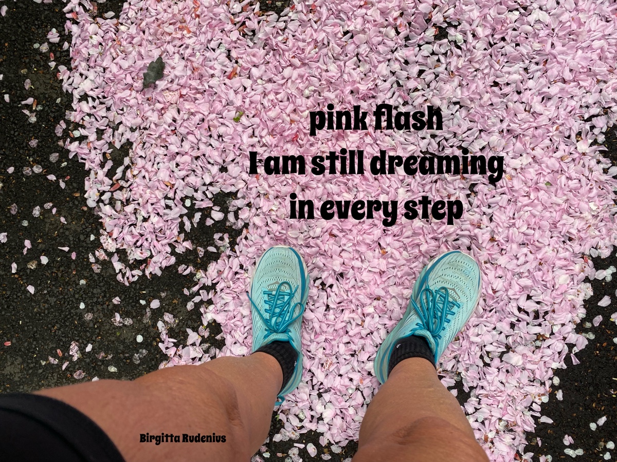 © Birgitta Rudenius