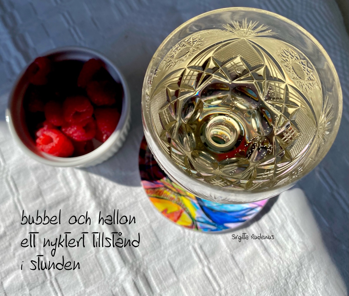 © Birgitta Rudenius