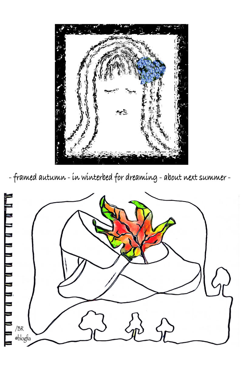 Pics and Poetry - Framed sleep by Birgitta Rudenius