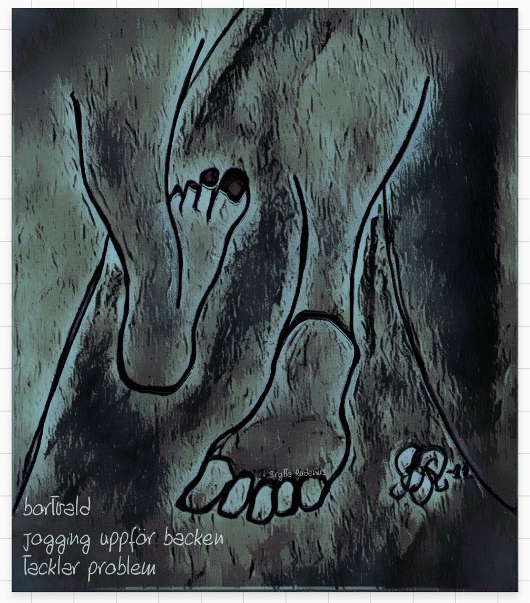 © Birgitta Rudenius