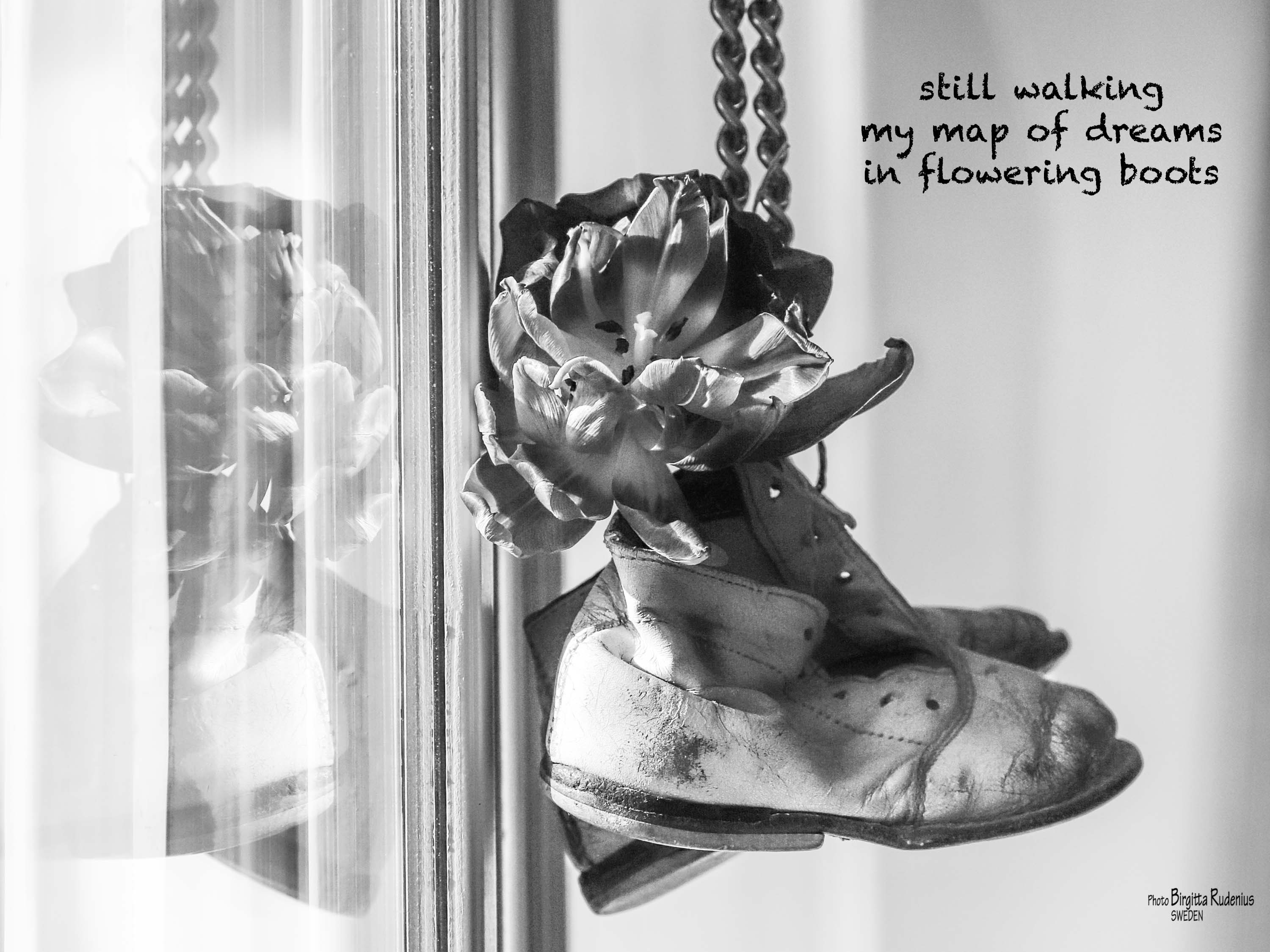 Black & White Photo © Birgitta Rudenius