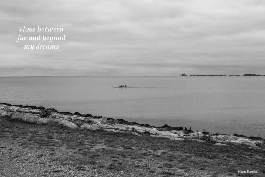 #haiku #haiga © Birgitta Rudenius