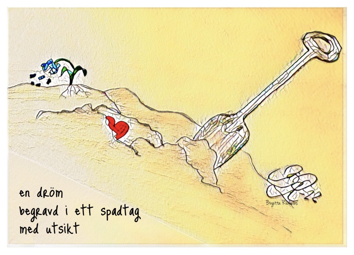 © Birgitta Rudenius