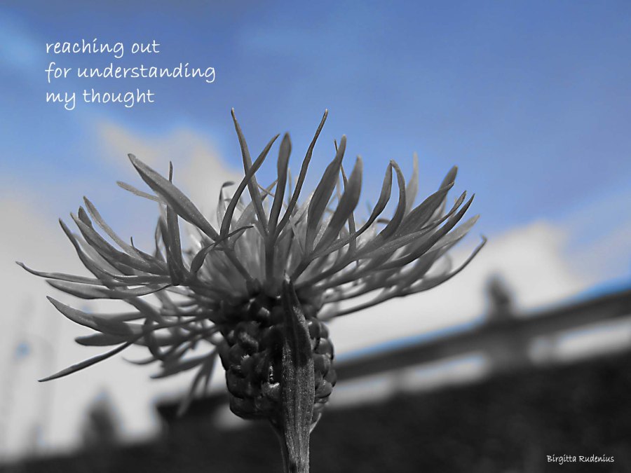 #picsandpoetry © Birgitta Rudenius