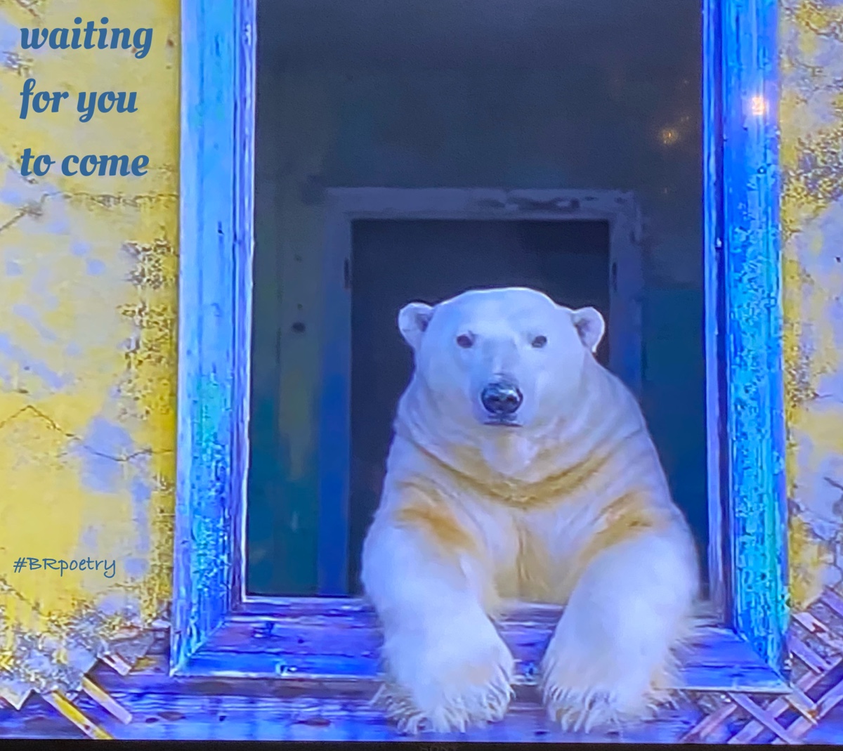 © Birgitta Rudenius