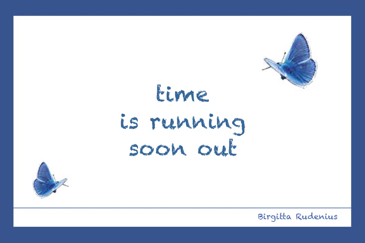 © Birgitta Rudenius