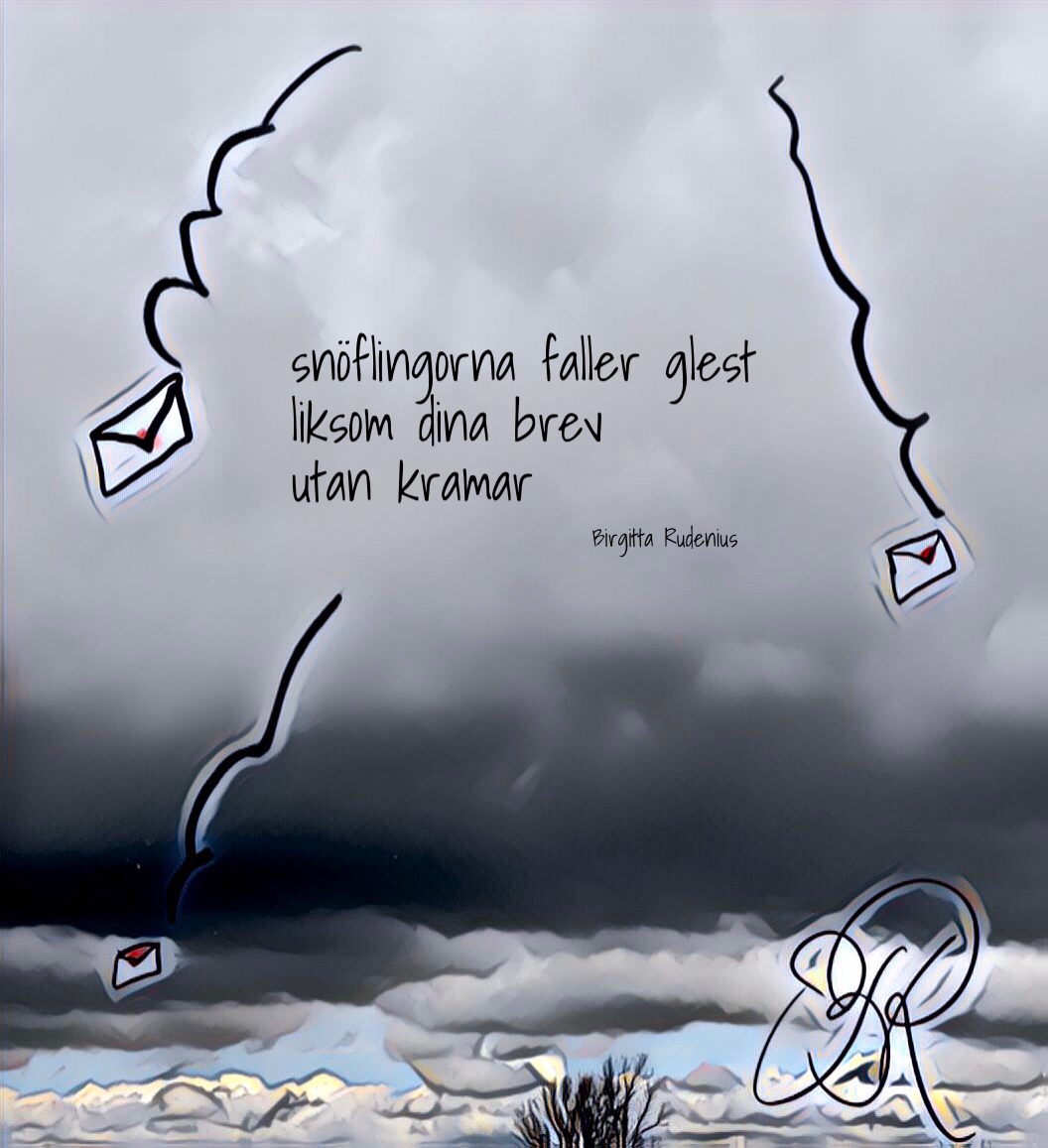 © Birgitta Rudenius