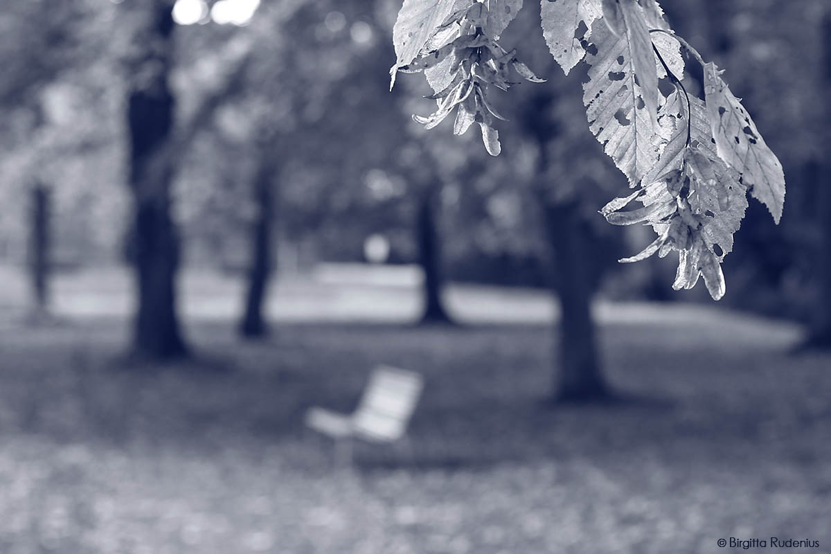 Blue Far Away ©BirgittaRudenius