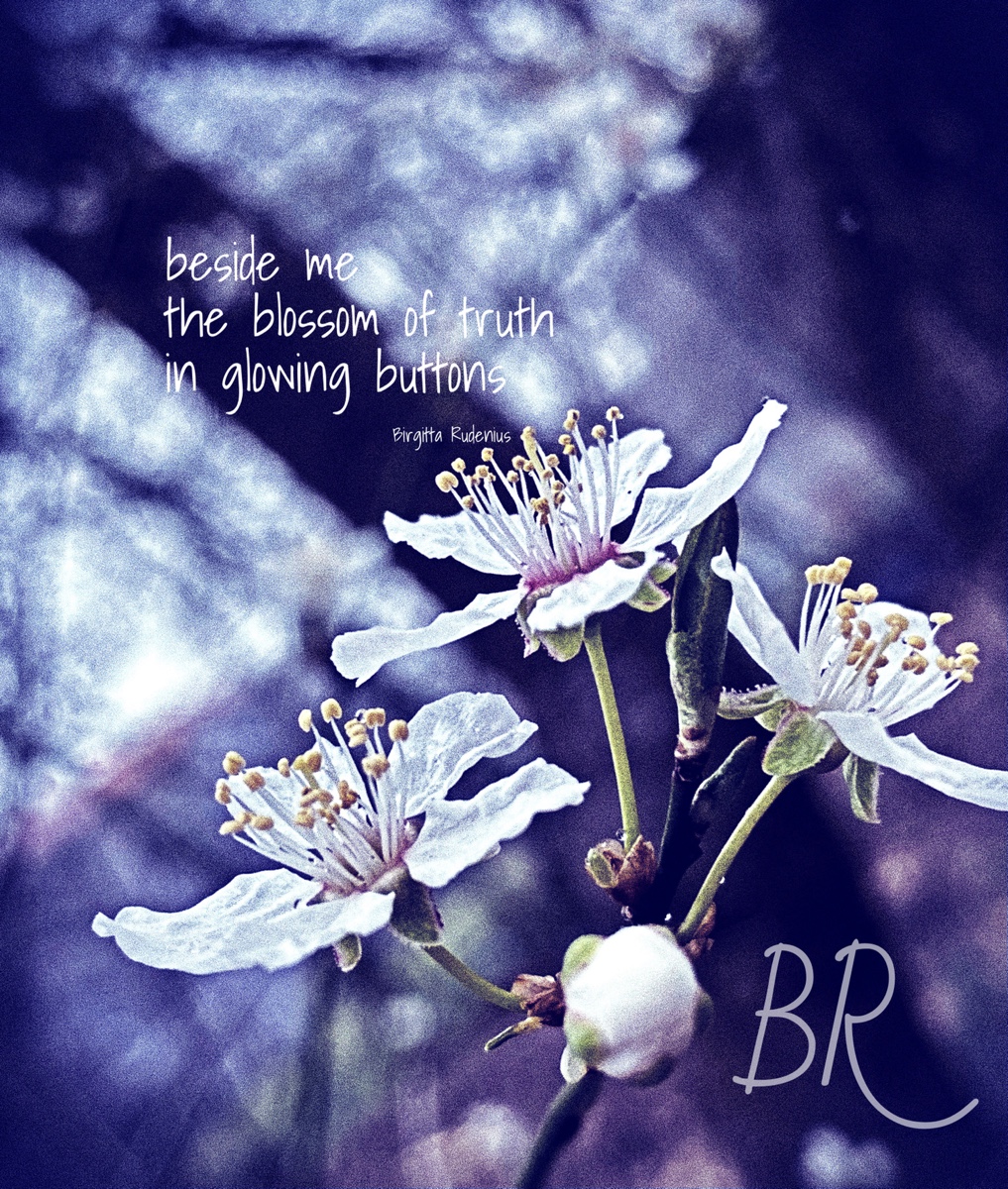 © Birgitta Rudenius