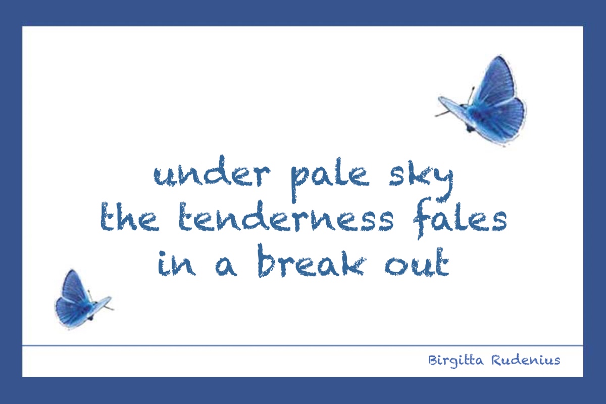 © Birgitta Rudenius