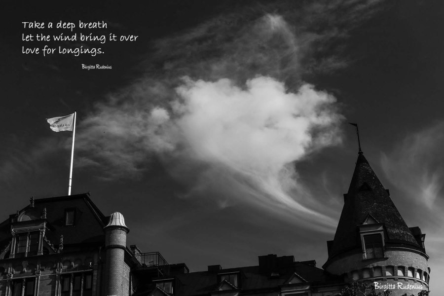 Pics & Poetry © Birgitta Rudenius