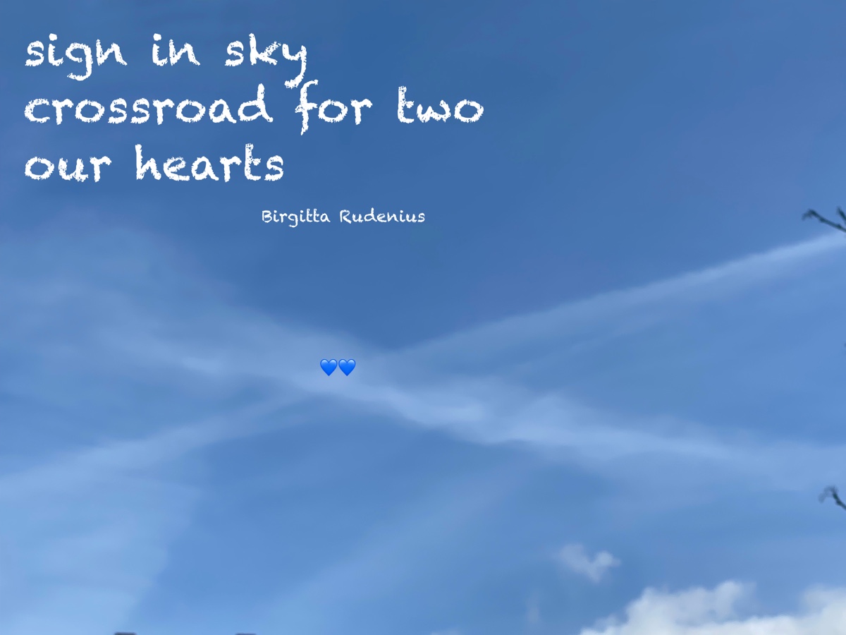 © Birgitta Rudenius