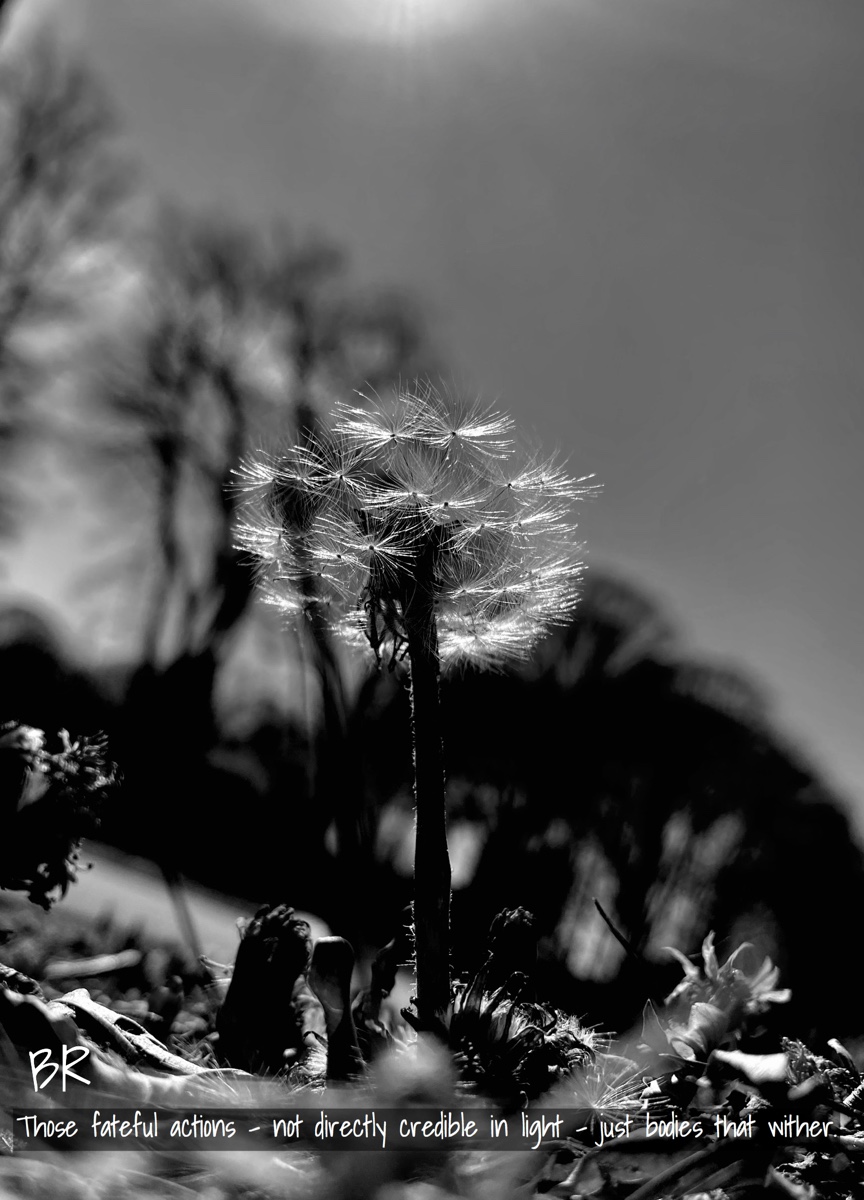 Featured Image -- 3857