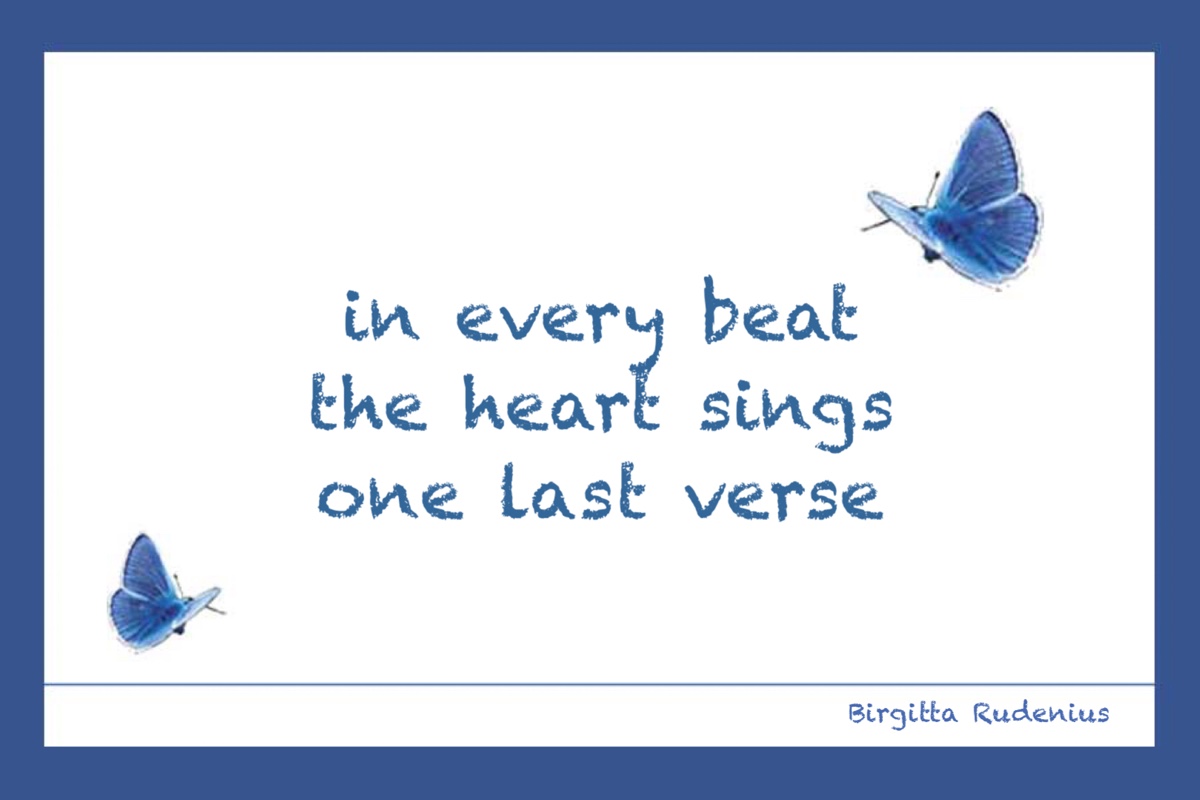 © Birgitta Rudenius