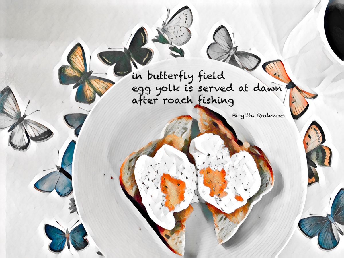 © Birgitta Rudenius