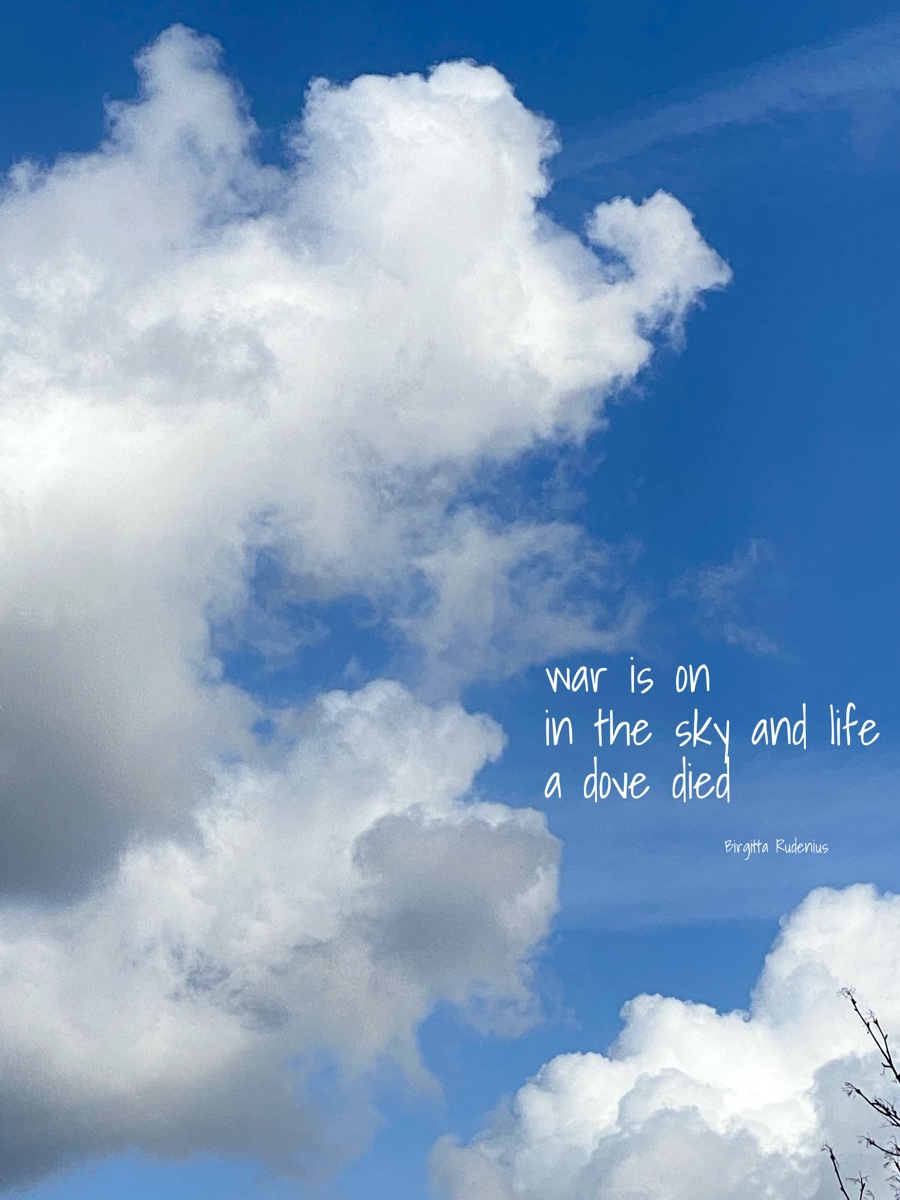 © Birgitta Rudenius