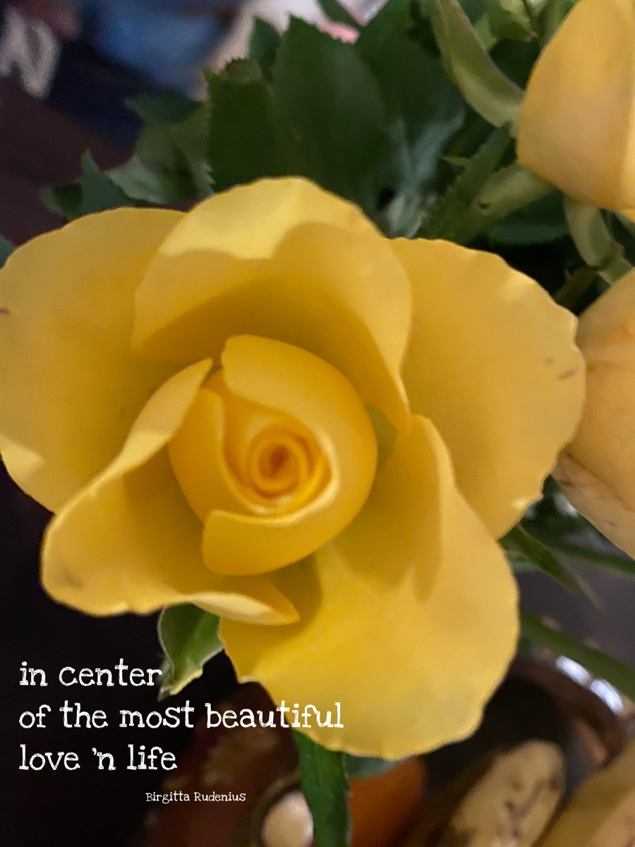 © Birgitta Rudenius