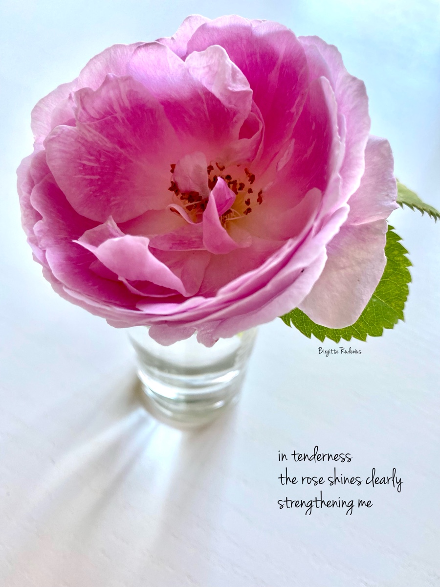 © Birgitta Rudenius