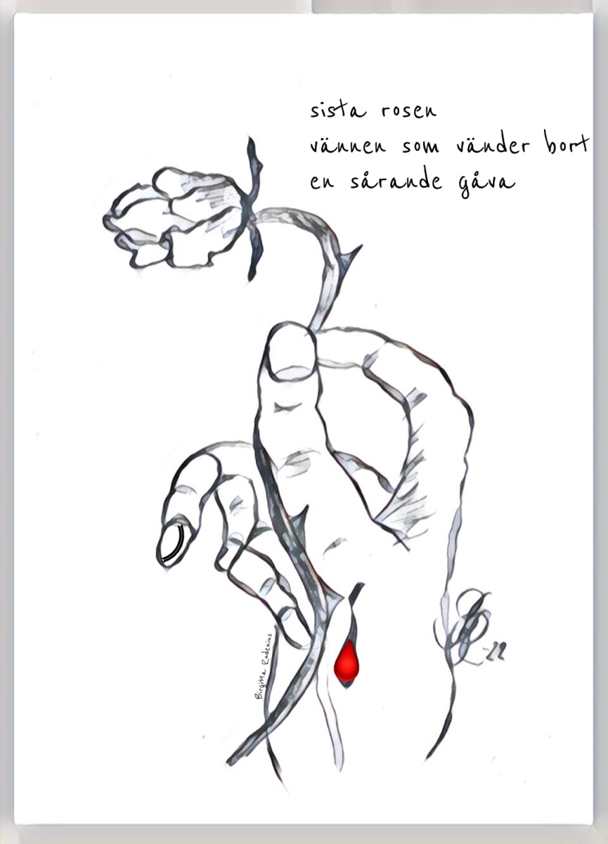 © Birgitta Rudenius