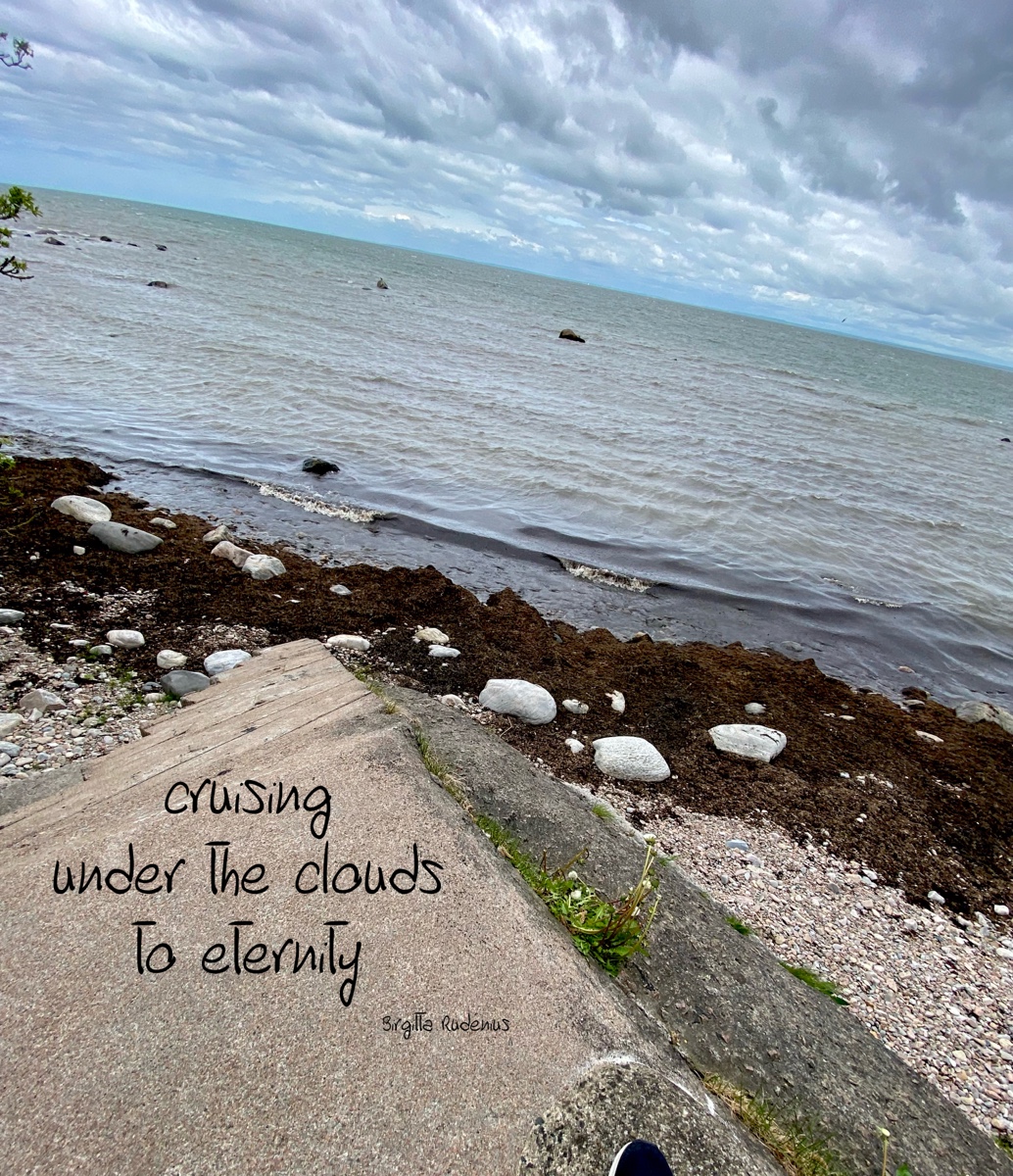 © Birgitta Rudenius