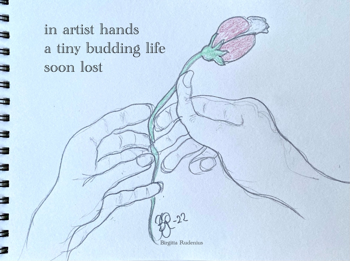 © Birgitta Rudenius