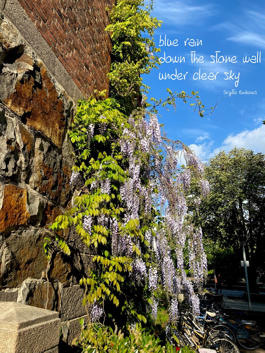 © Birgitta Rudenius