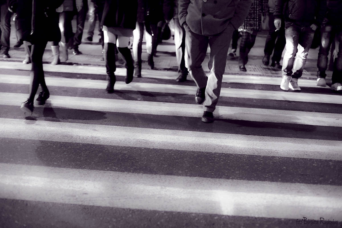 Purple Crossing ©BirgittaRudenius