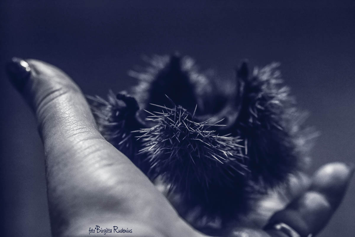 Blue Handy Voice ©BirgittaRudenius