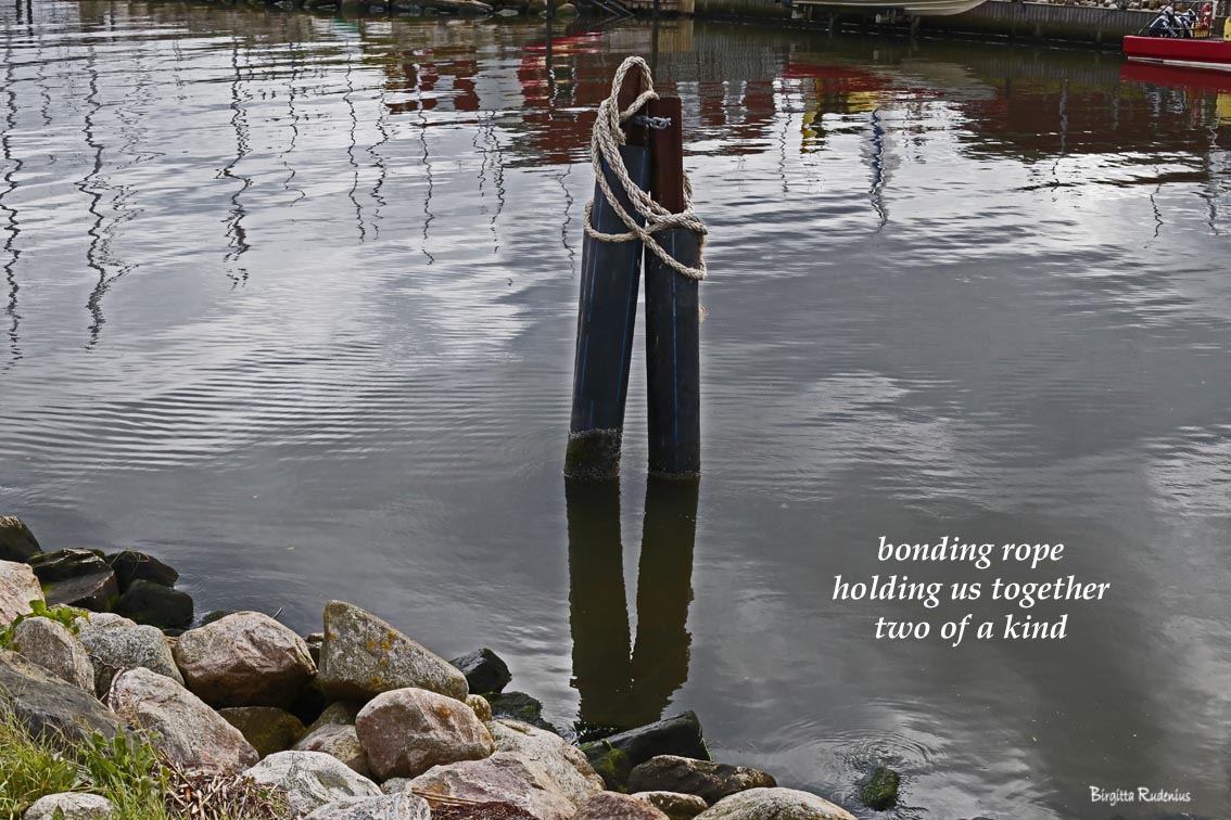 Bonding Rope – KONST I TIDEN