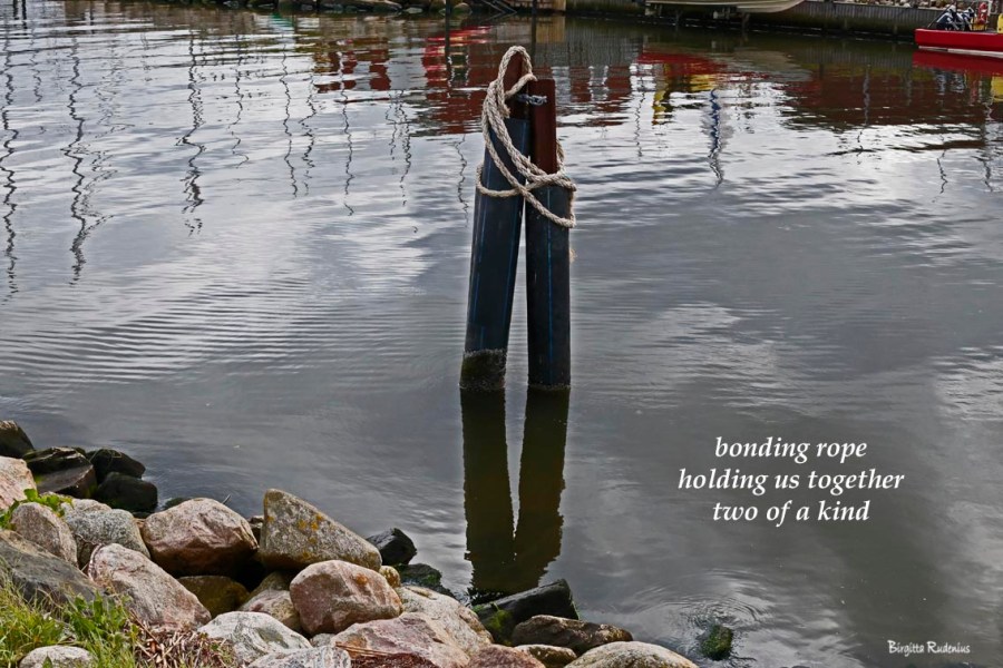 #haiku #haiga © Birgitta Rudenius