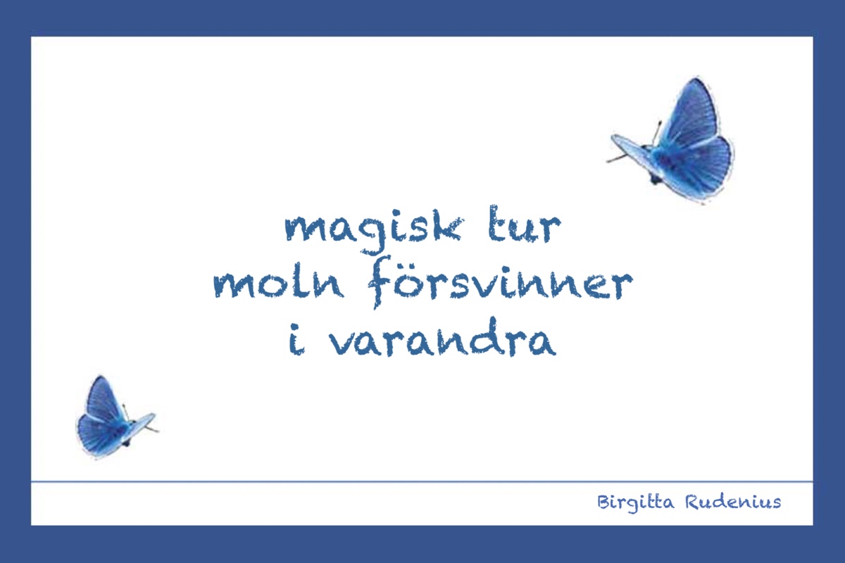 © Birgitta Rudenius