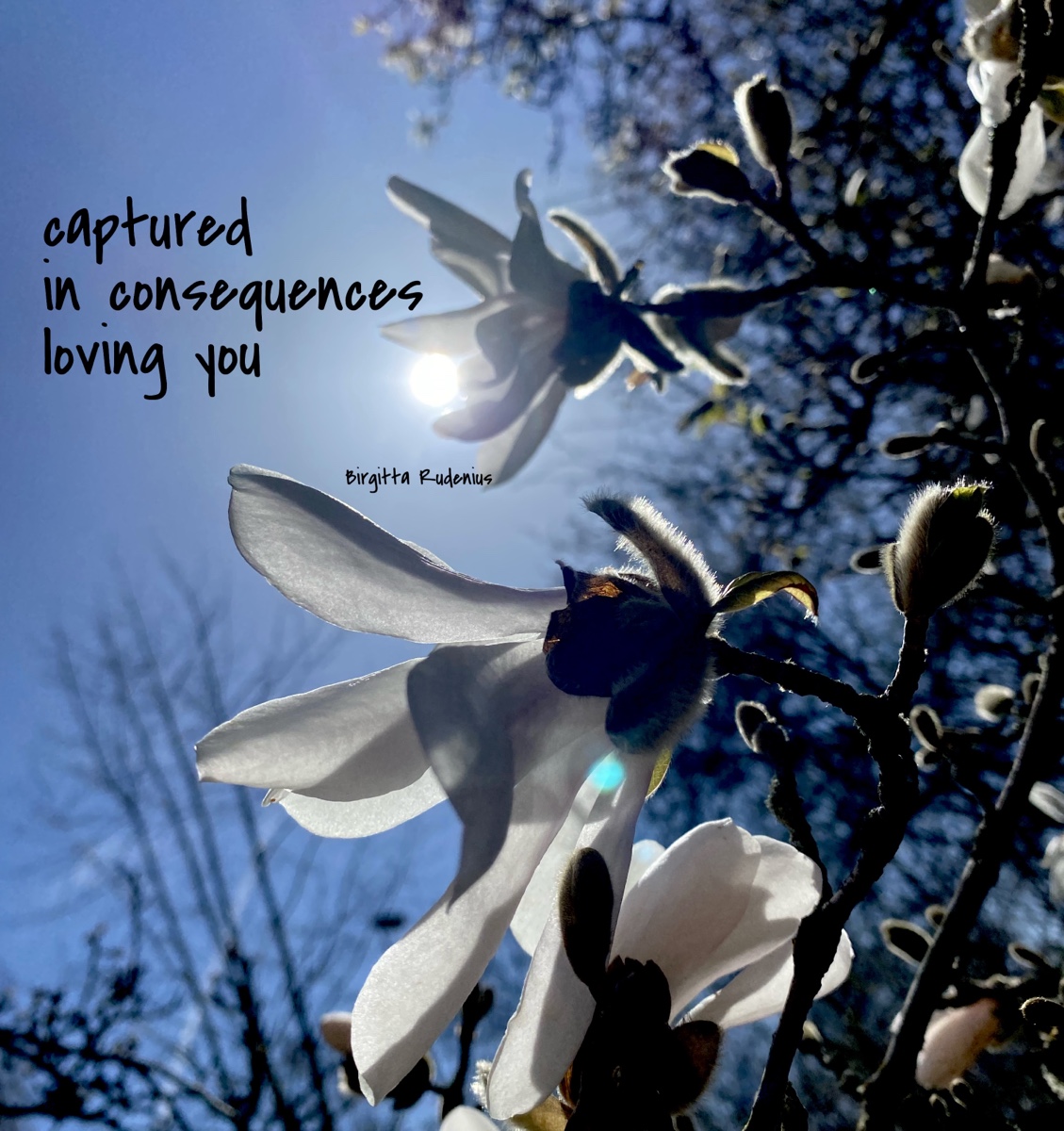 © Birgitta Rudenius