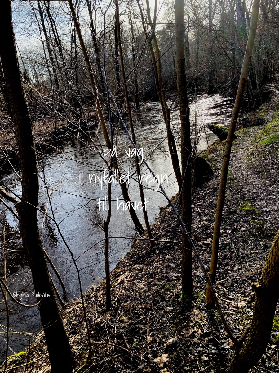 © Birgitta Rudenius