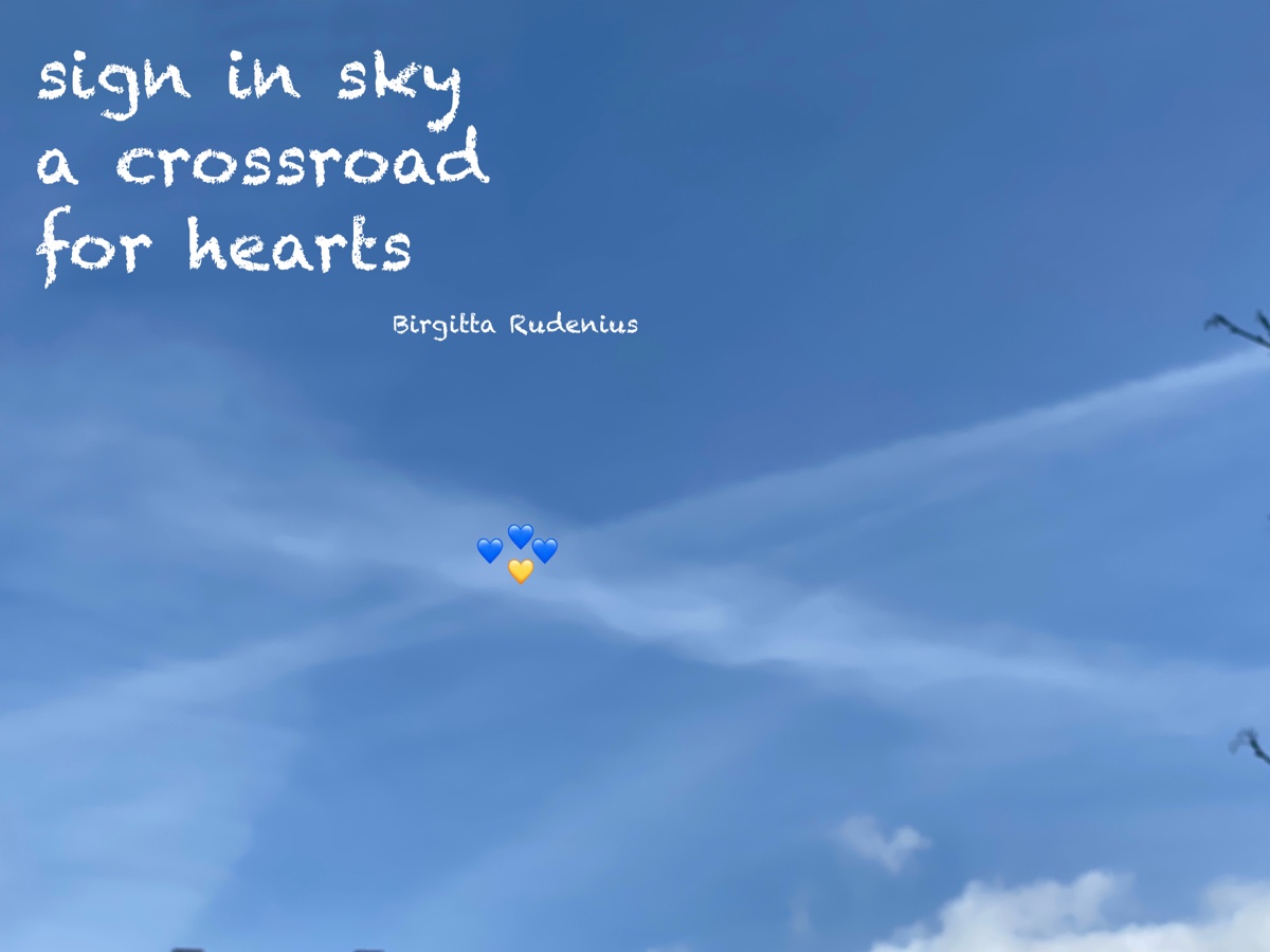 © Birgitta Rudenius