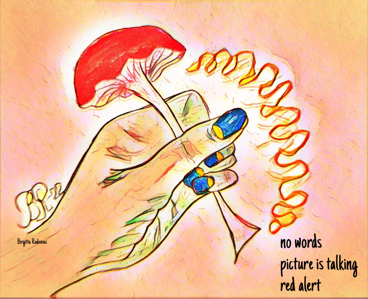 © Birgitta Rudenius