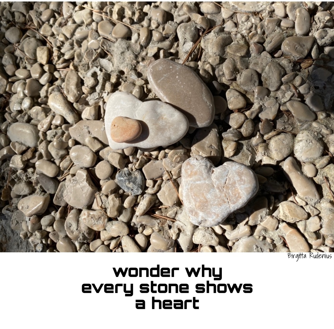 © Birgitta Rudenius