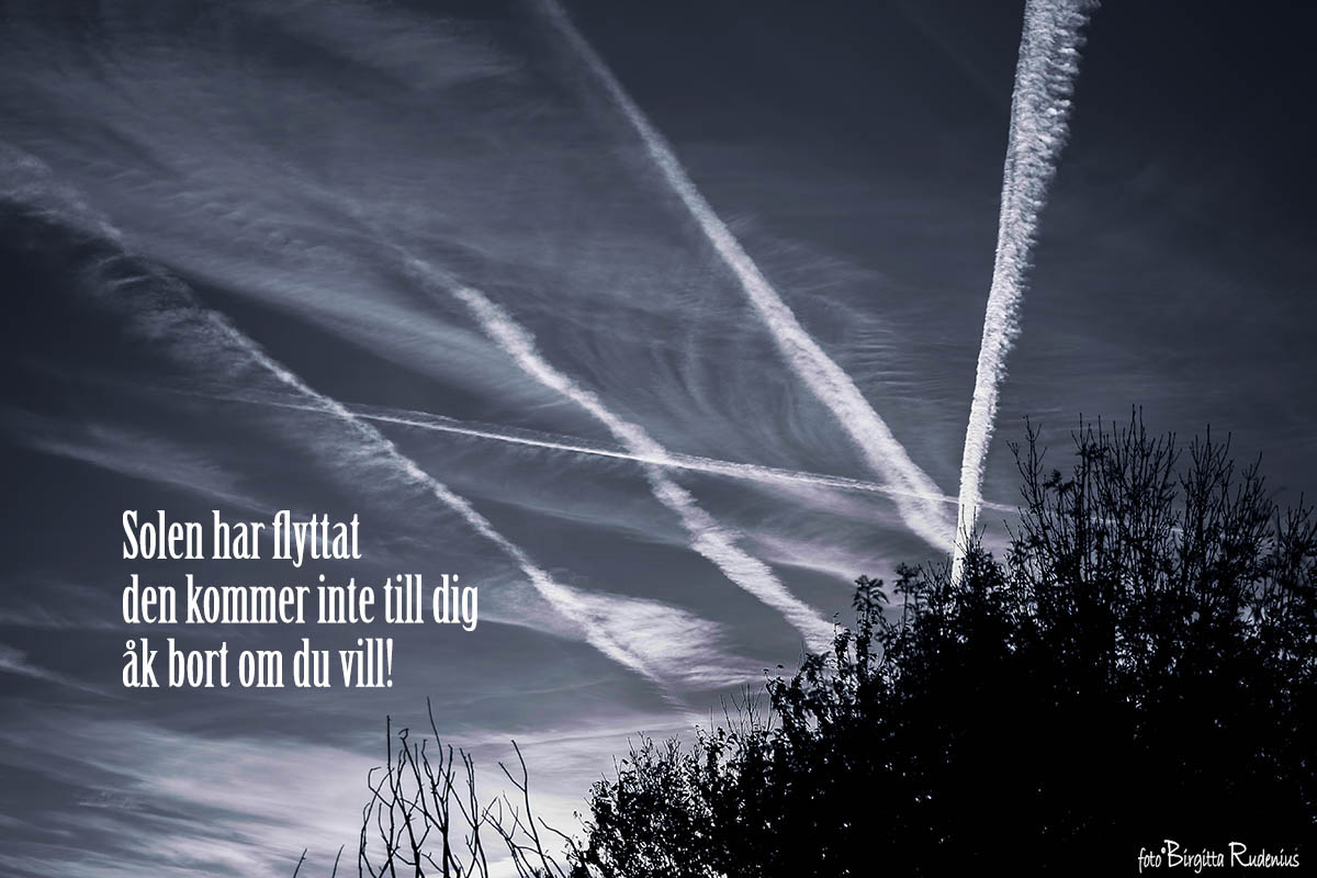 #haiku #haiga - Crossroads ©BirgittaRudenius