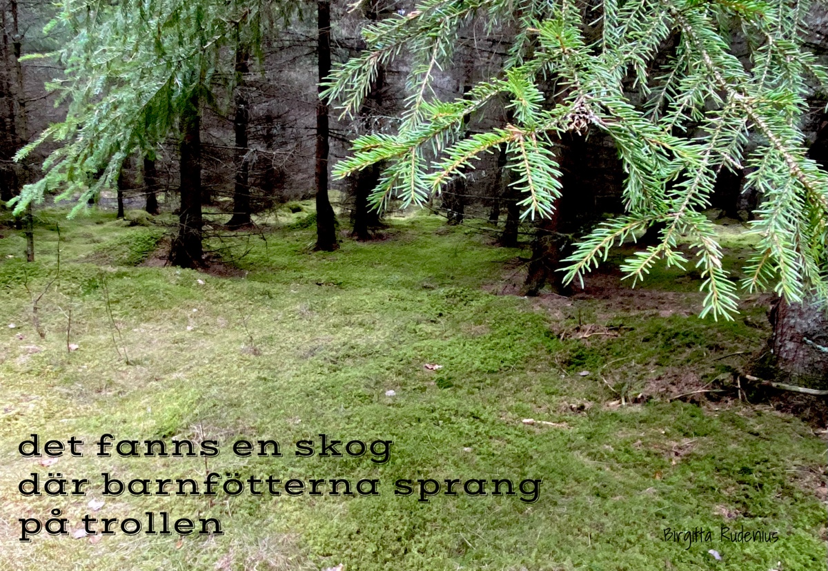 © Birgitta Rudenius