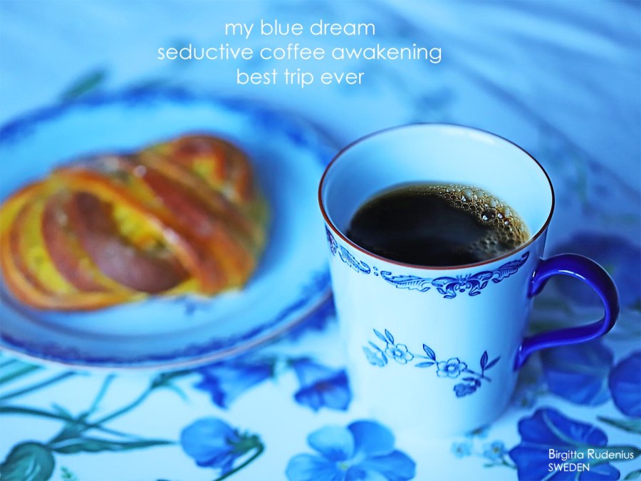 Pics & Poetry © Birgitta Rudenius