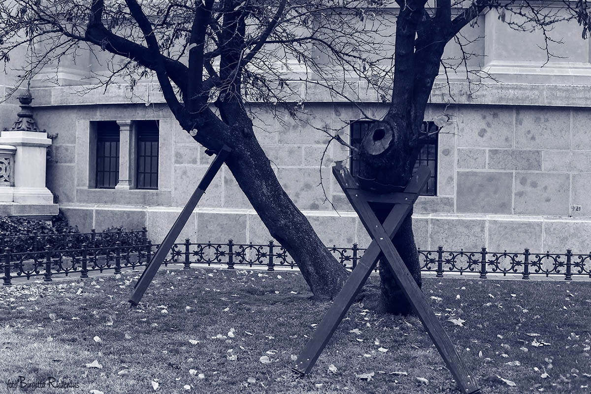 Blue - Tired Trees ©BirgittaRudenius