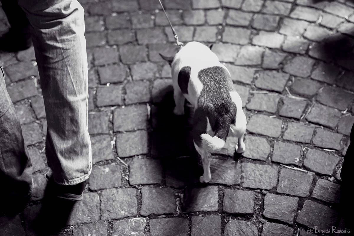 Following you for ever ©BirgittaRudenius