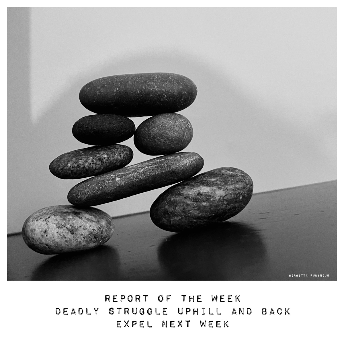 © Birgitta Rudenius