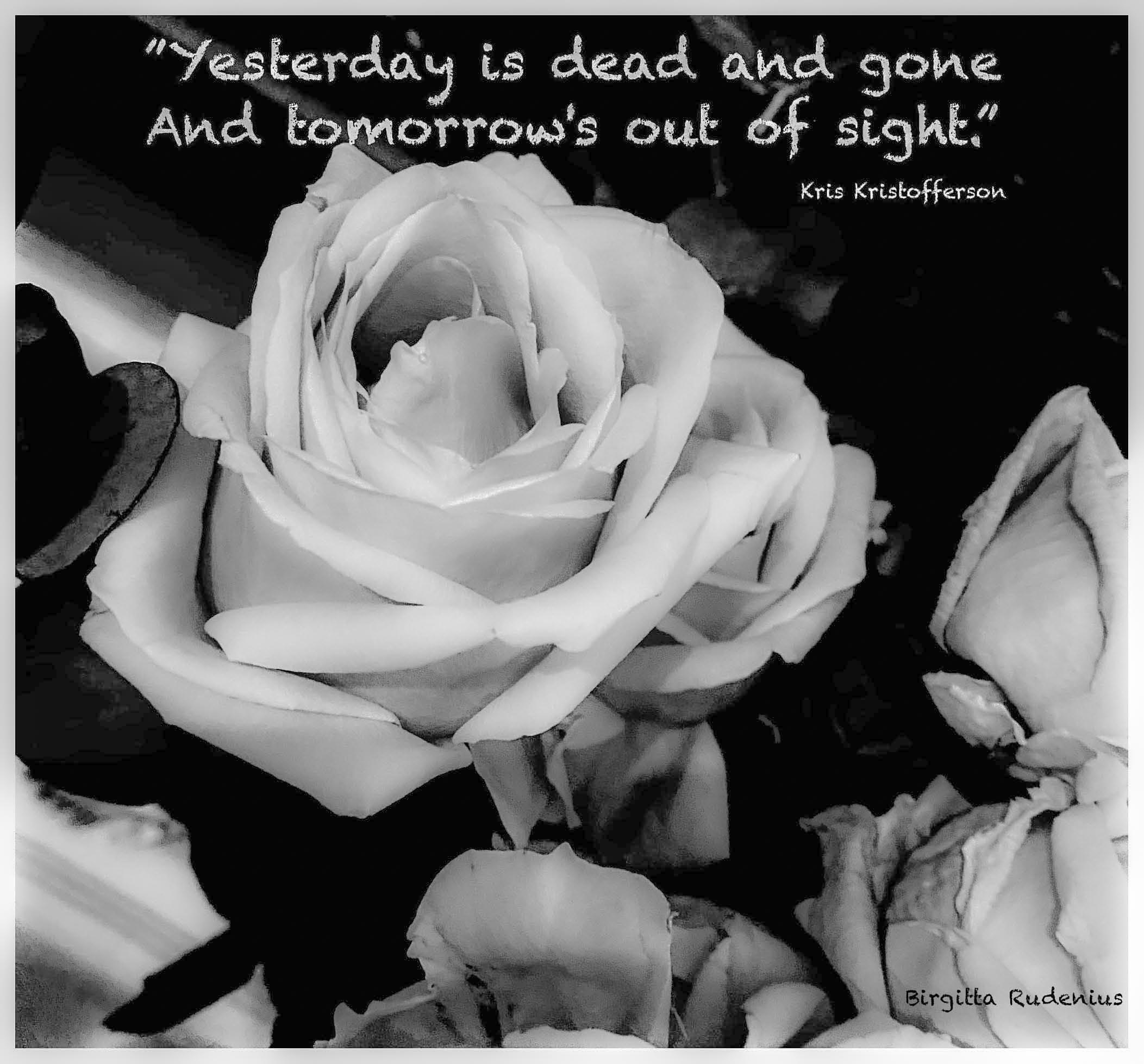 Lyric Lines @ Birgitta Rudenius