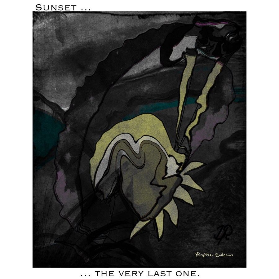 ©️Birgitta Rudenius